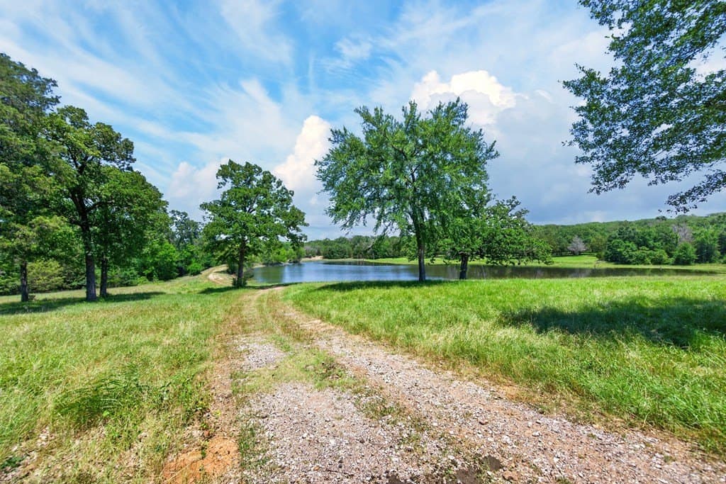 140 acres in Anderson County - photo 19