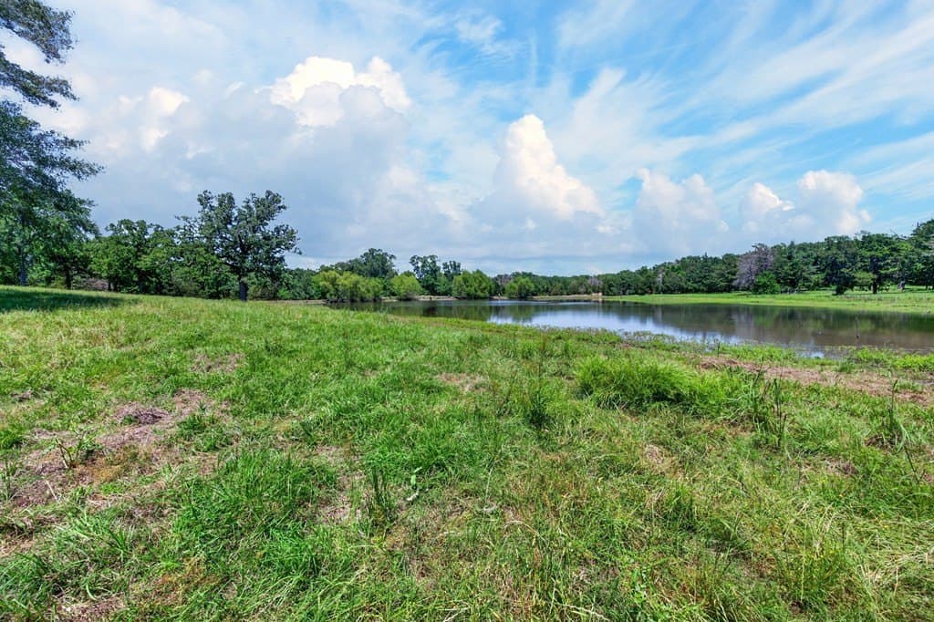 140 acres in Anderson County - photo 15