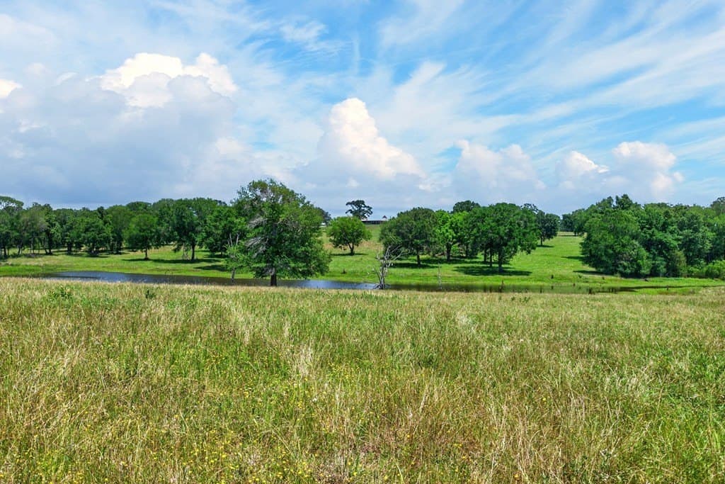 140 acres in Anderson County - photo 9