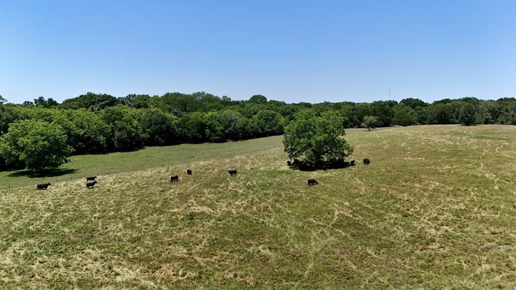 140 acres in Anderson County - photo 44