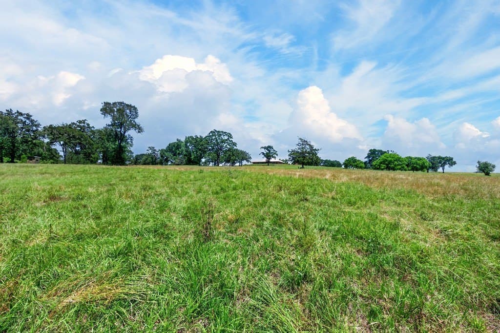 140 acres in Anderson County - photo 10