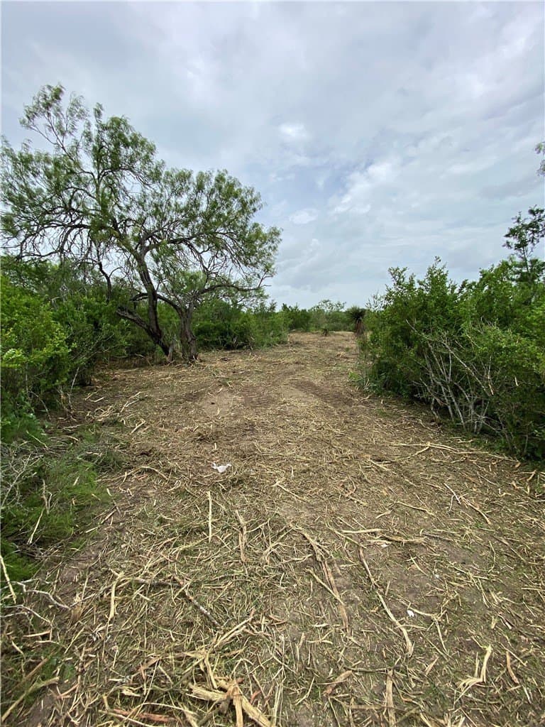 2.22 acres in Jim Wells County - photo 6