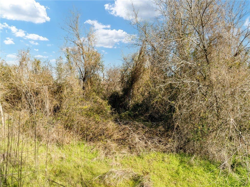 0.25 acres in McLennan County gallery image 4