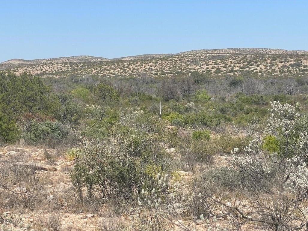 59.91 acres in Val Verde County gallery image 3