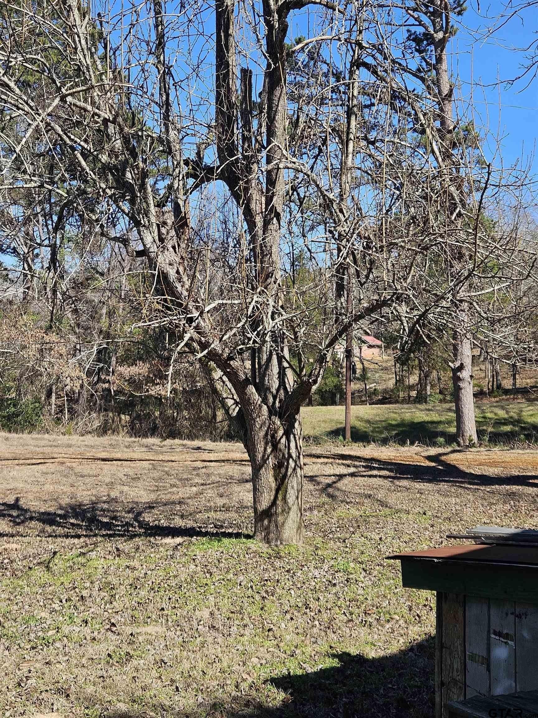 20 acres in Cherokee County - photo 35