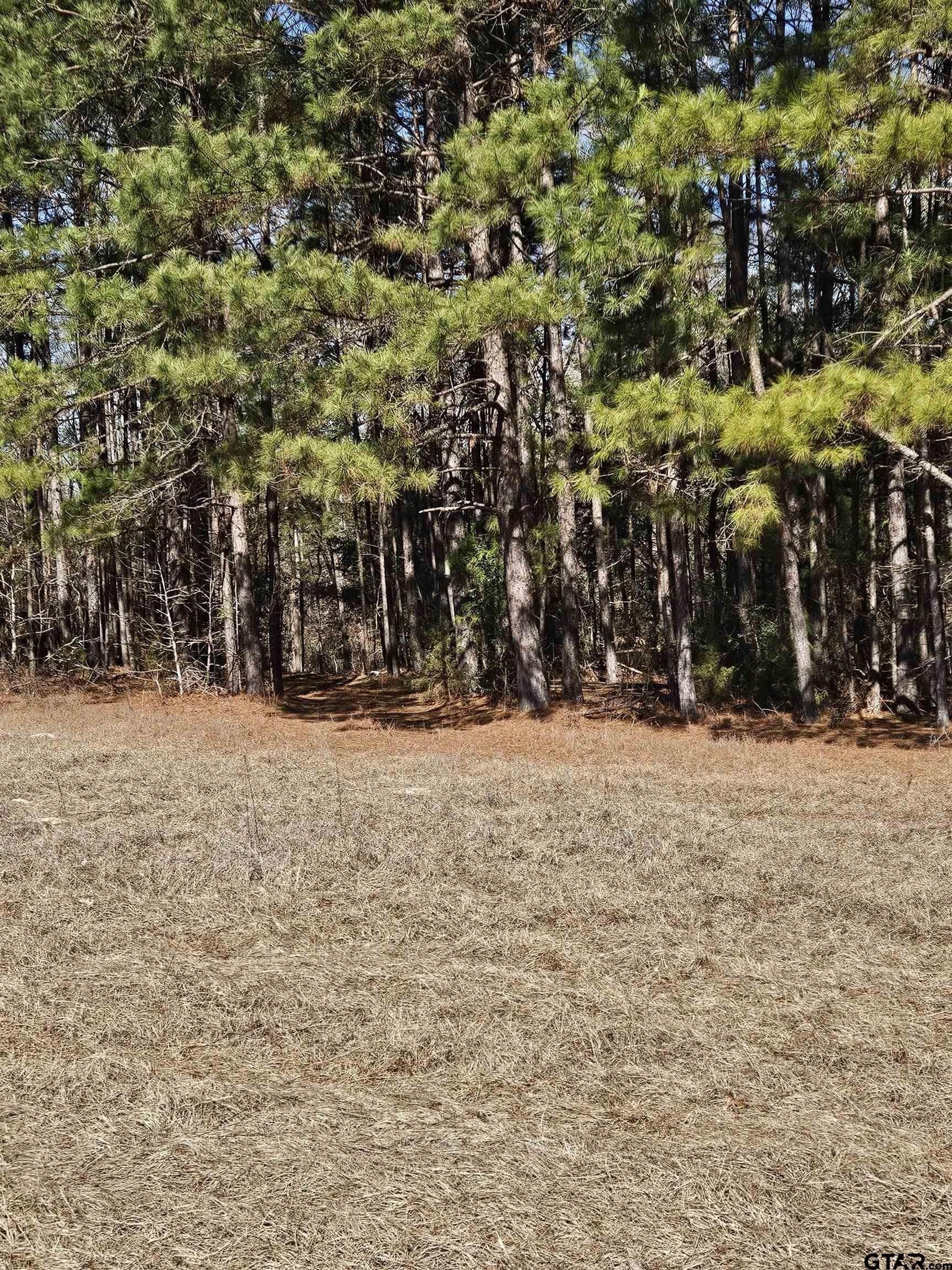 20 acres in Cherokee County - photo 37