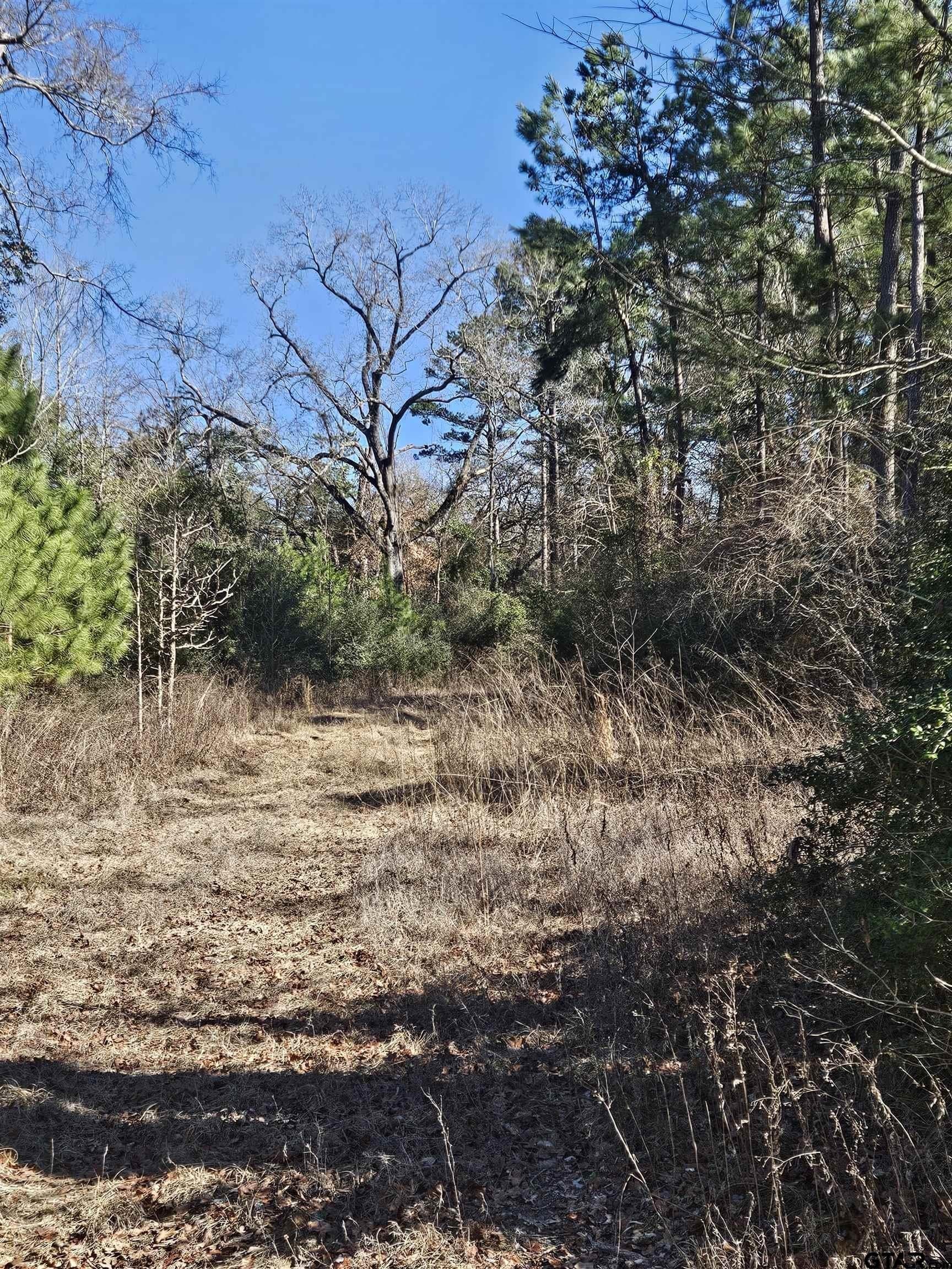20 acres in Cherokee County - photo 26