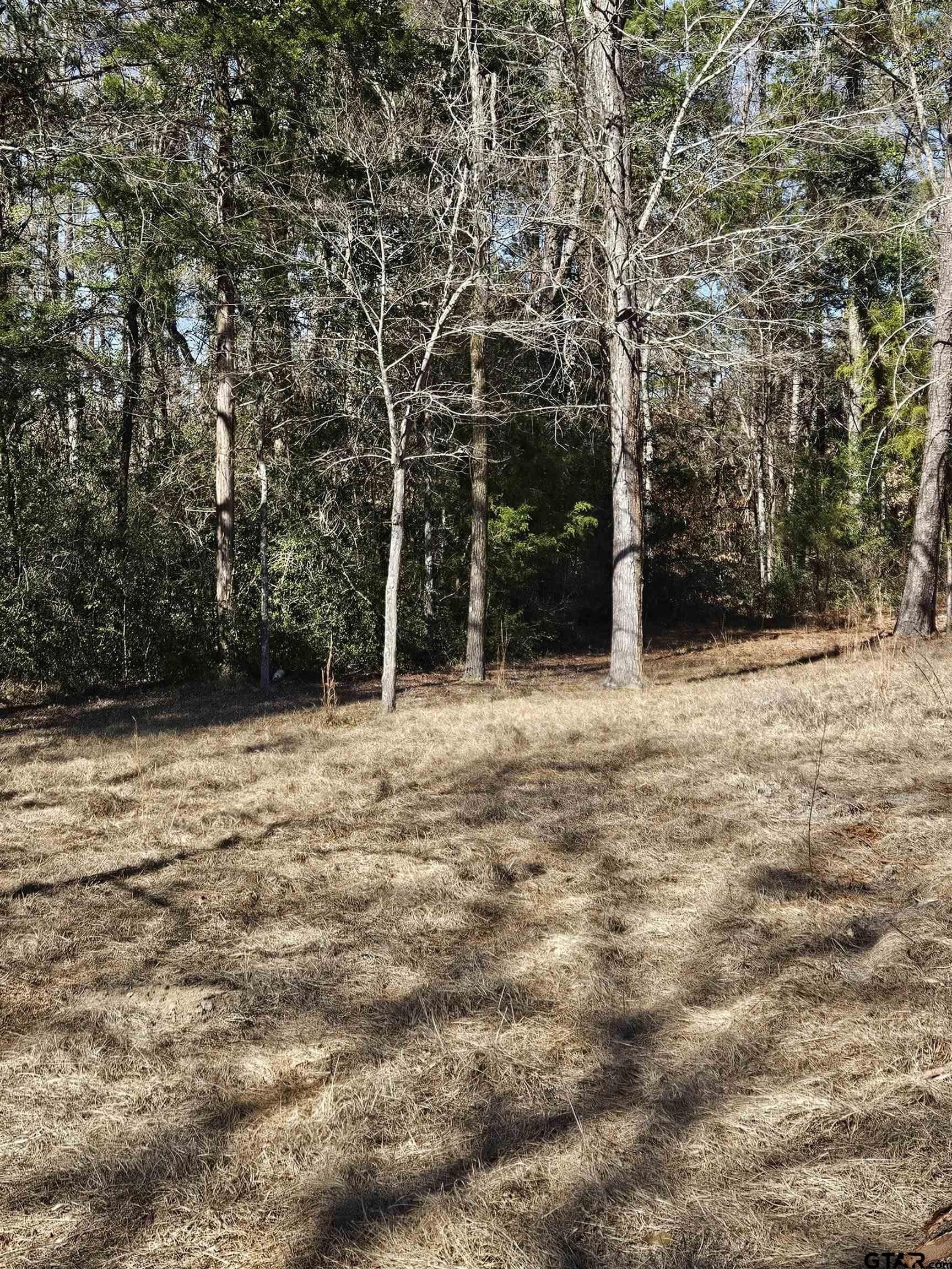 20 acres in Cherokee County - photo 39