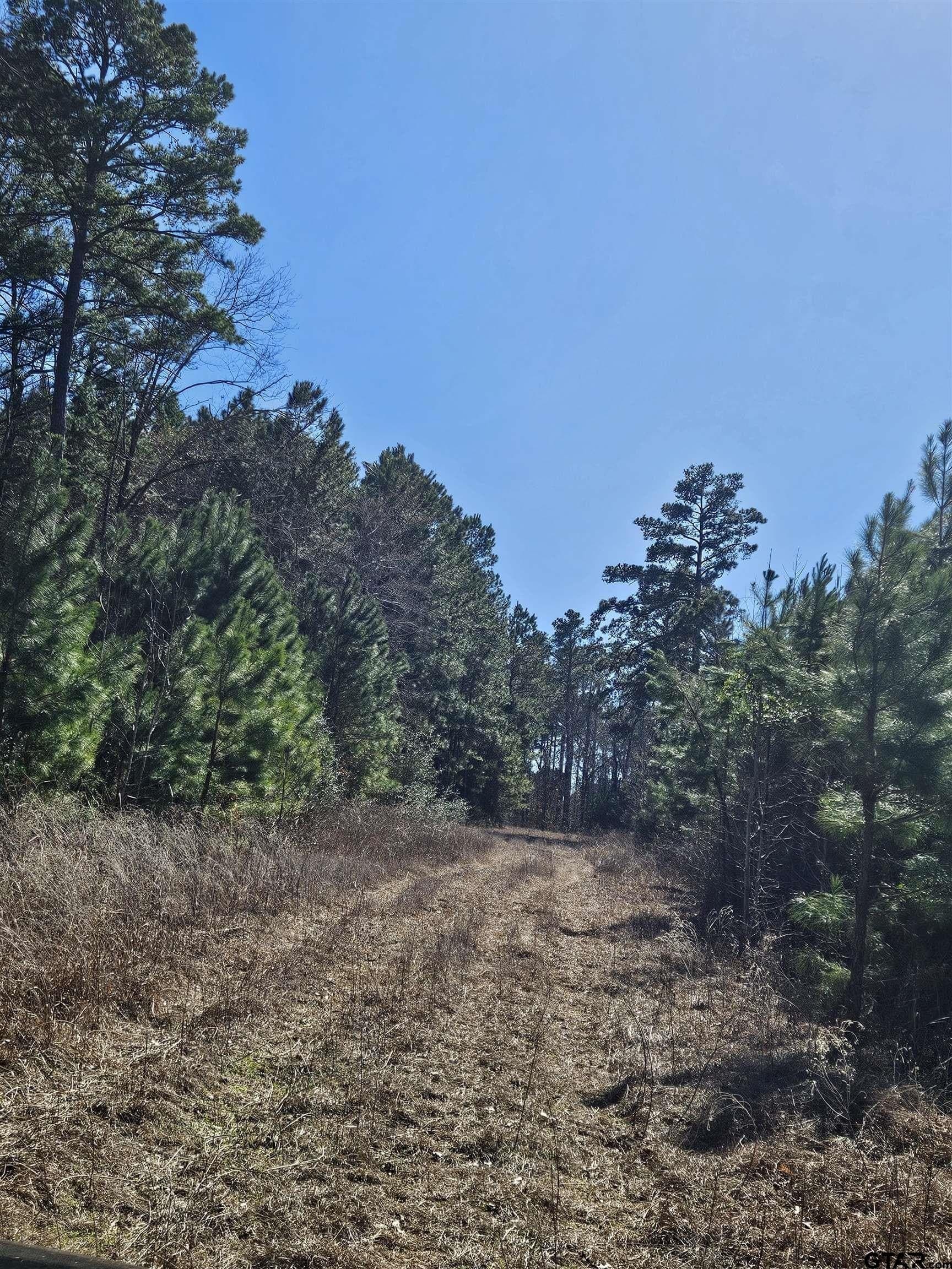 20 acres in Cherokee County - photo 25