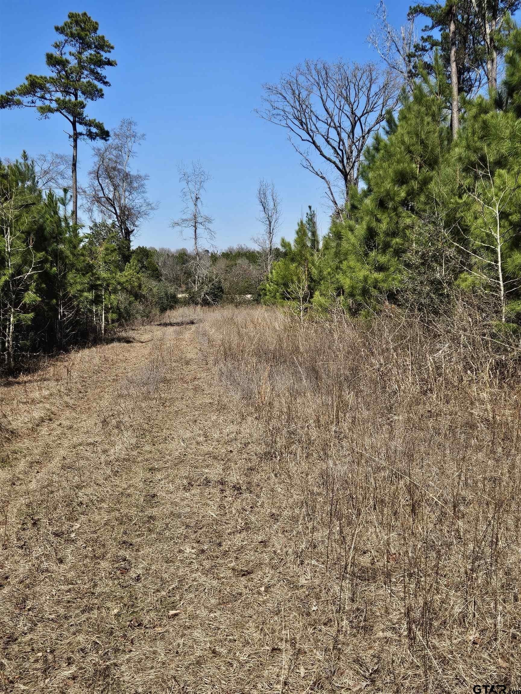 20 acres in Cherokee County - photo 40