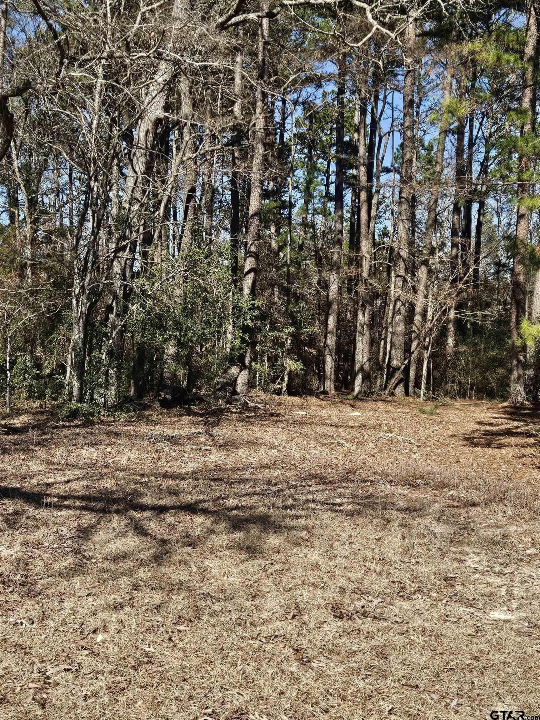 20 acres in Cherokee County - photo 38