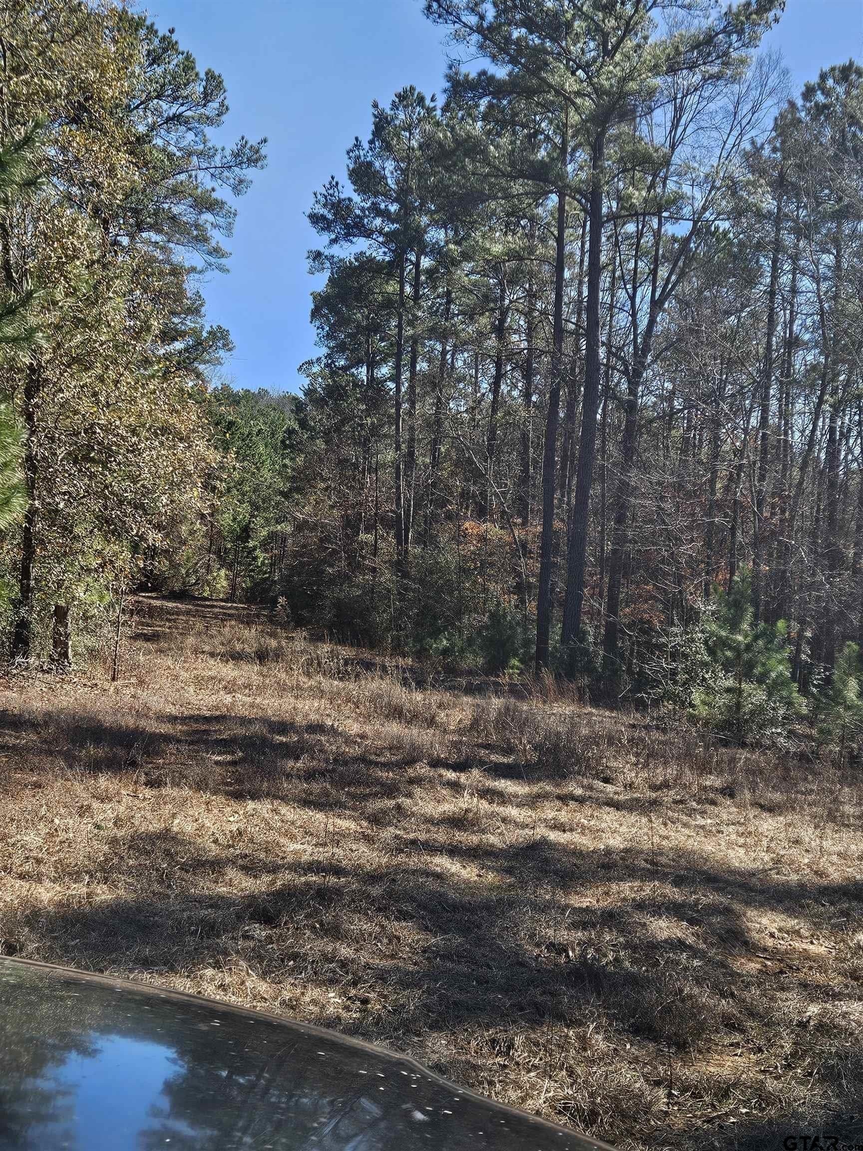 20 acres in Cherokee County - photo 27