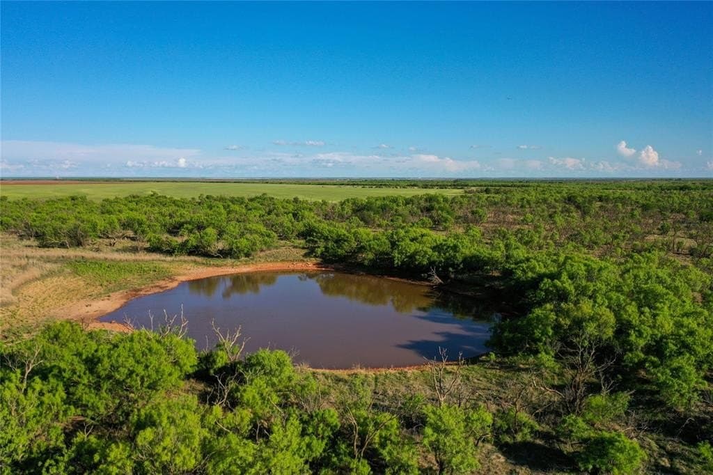 260 acres in Haskell County gallery image 3