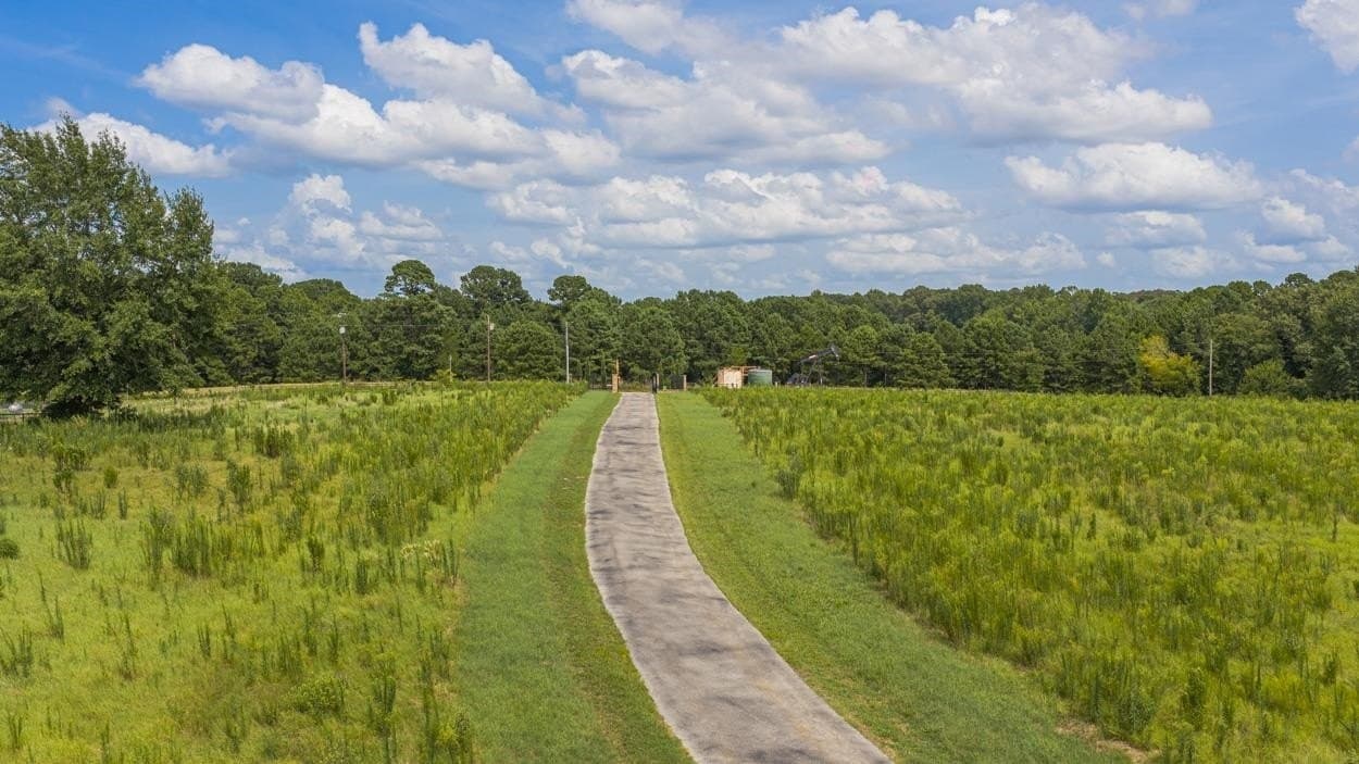 70.12 acres in Gregg County - photo 45