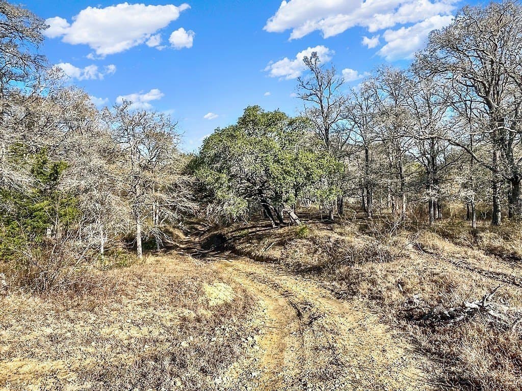 74.41 acres in Fayette County featured view