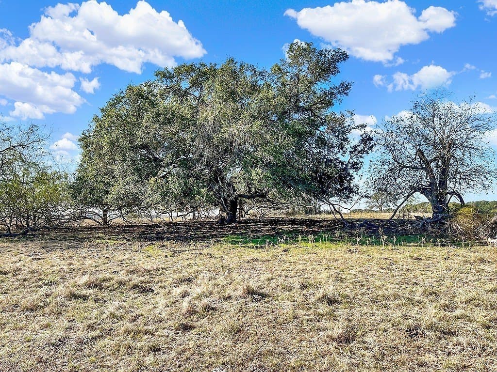 74.41 acres in Fayette County gallery image 3