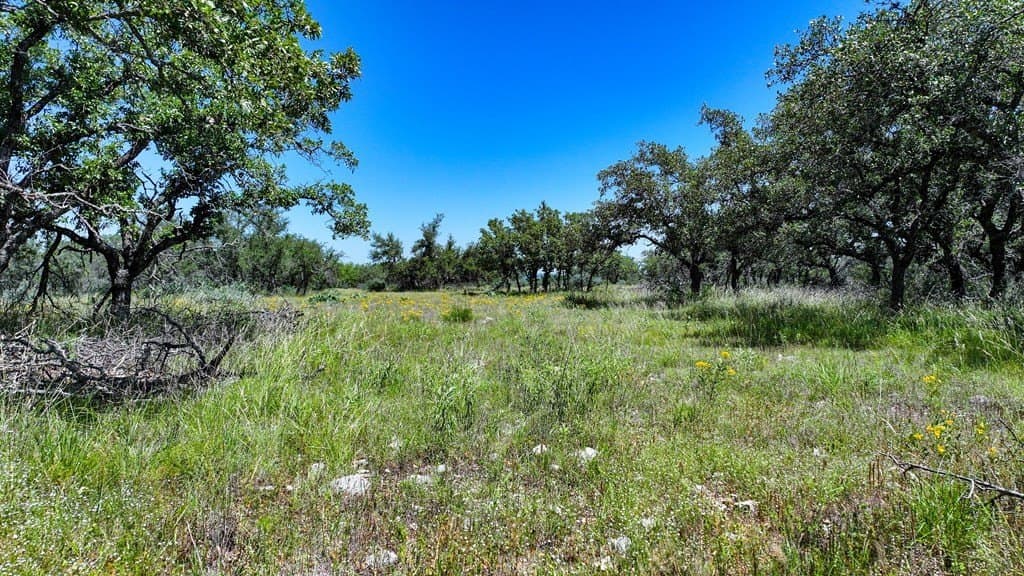 76 acres in Menard County featured view