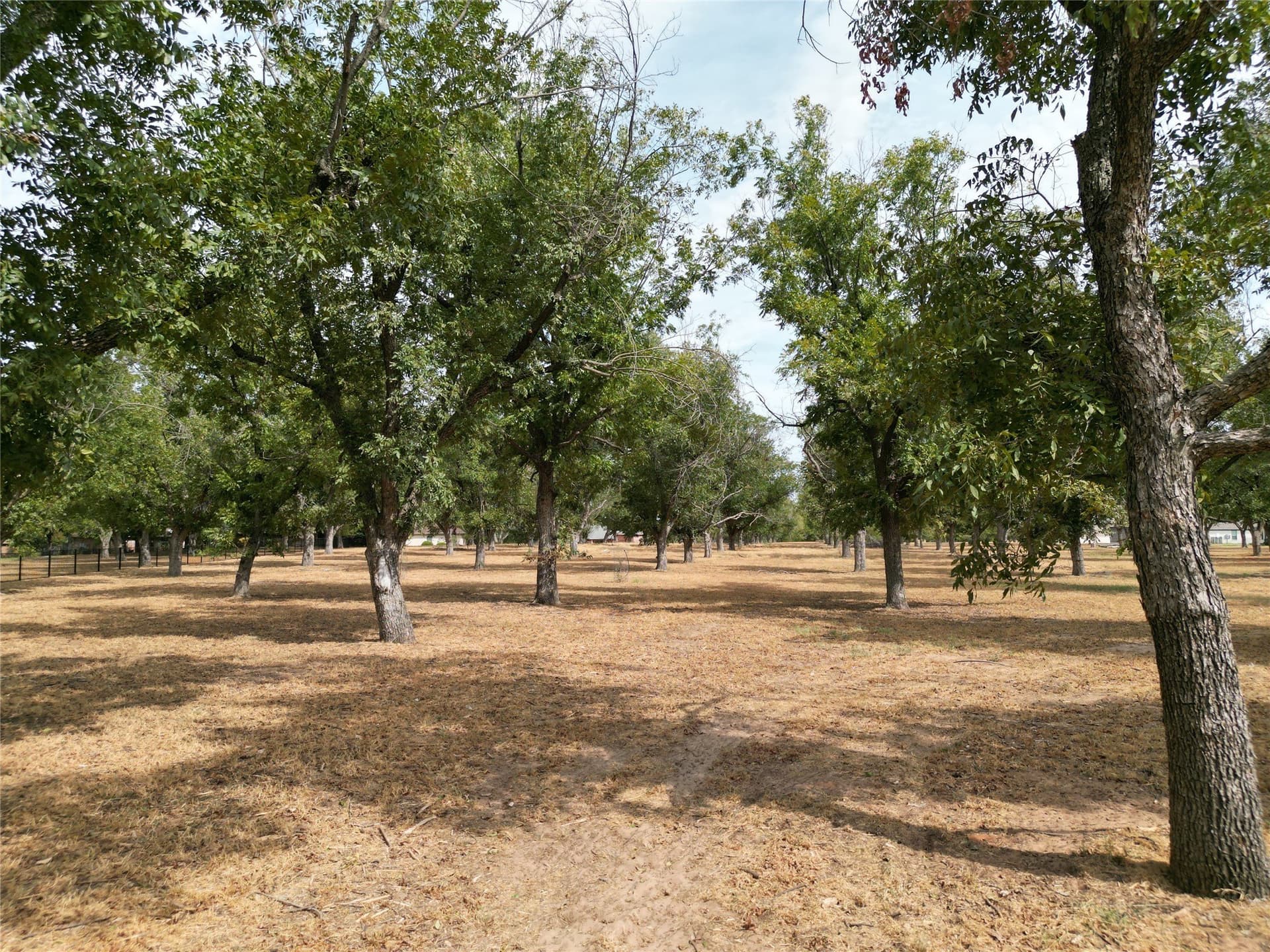 2.22 acres in Hood County - photo 7