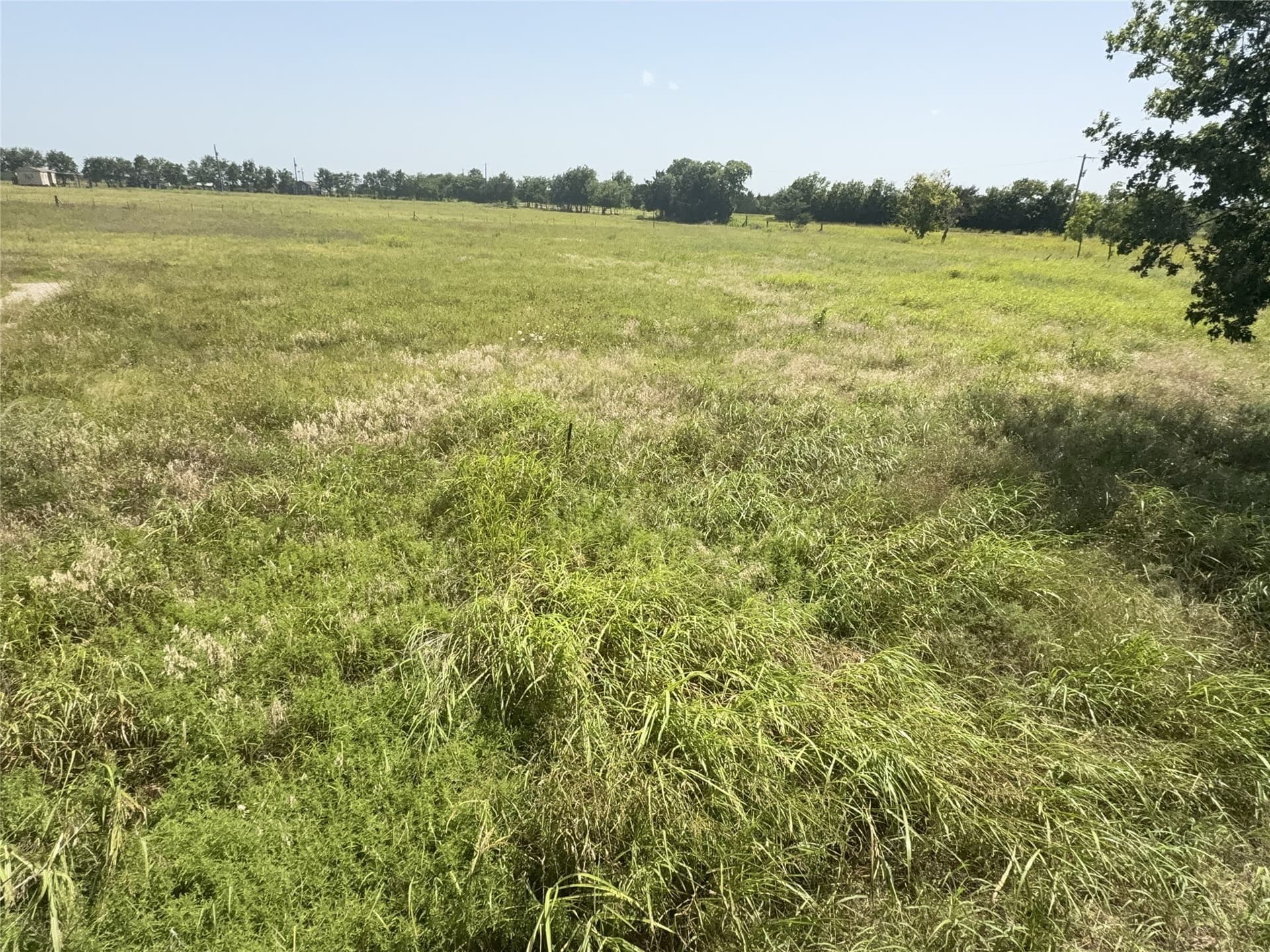 1.8 acres in Hunt County - photo 6