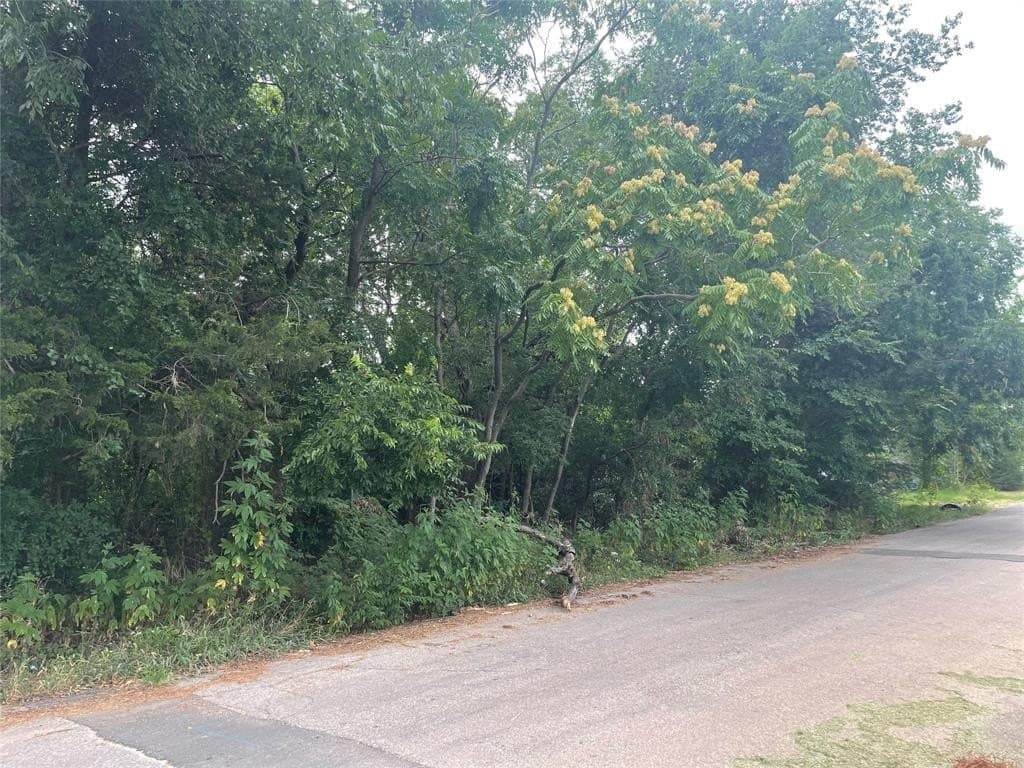 0.12 acres in Grayson County gallery image 4