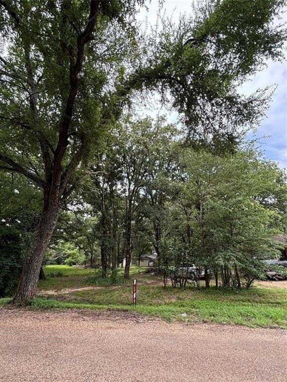 0.27 acres in Henderson County gallery image 4