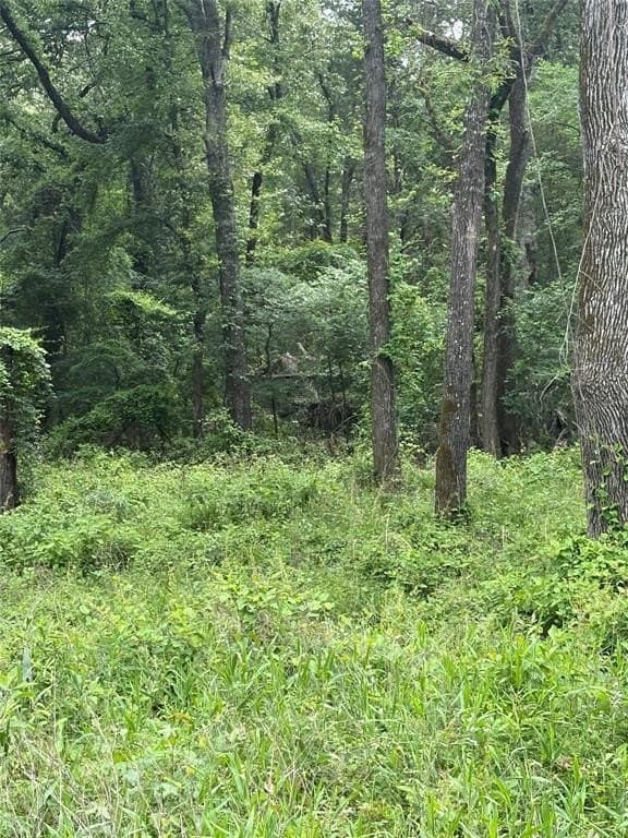 10.01 acres in Van Zandt County gallery image 4