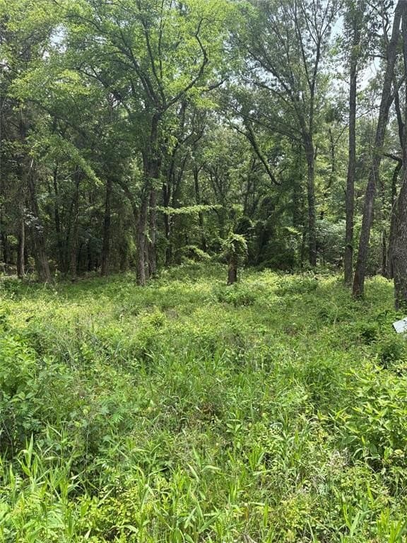 10.01 acres in Van Zandt County gallery image 3