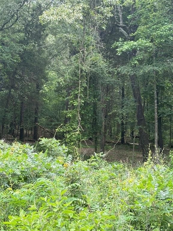 10.01 acres in Van Zandt County featured view