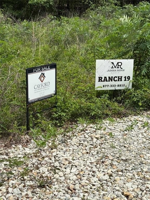 10.01 acres in Van Zandt County gallery image 2