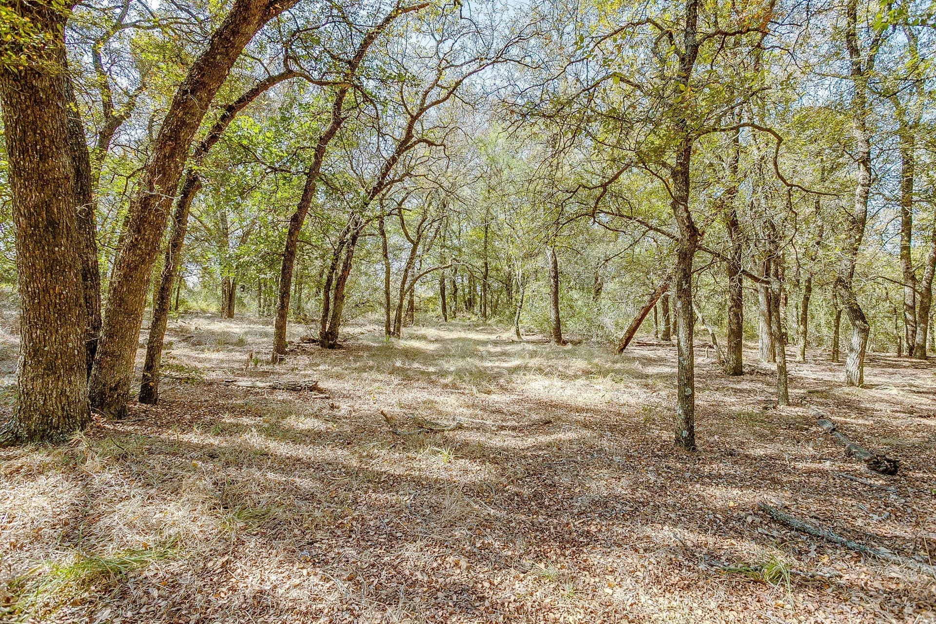 13.85 acres in Parker County - photo 40