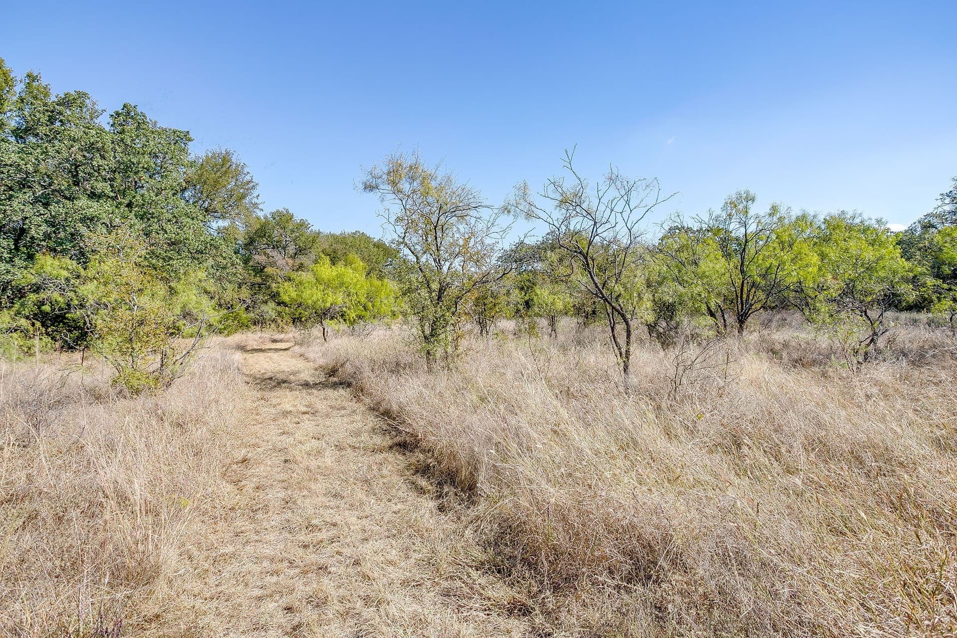 13.85 acres in Parker County - photo 35