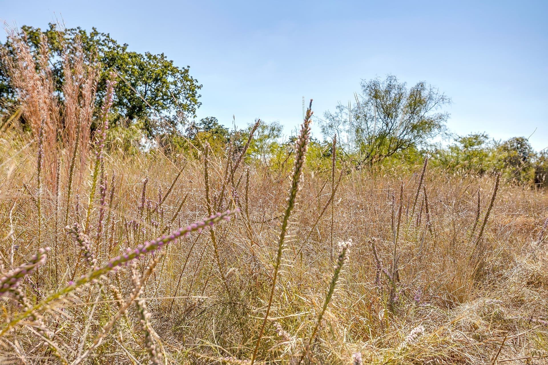 13.85 acres in Parker County - photo 37