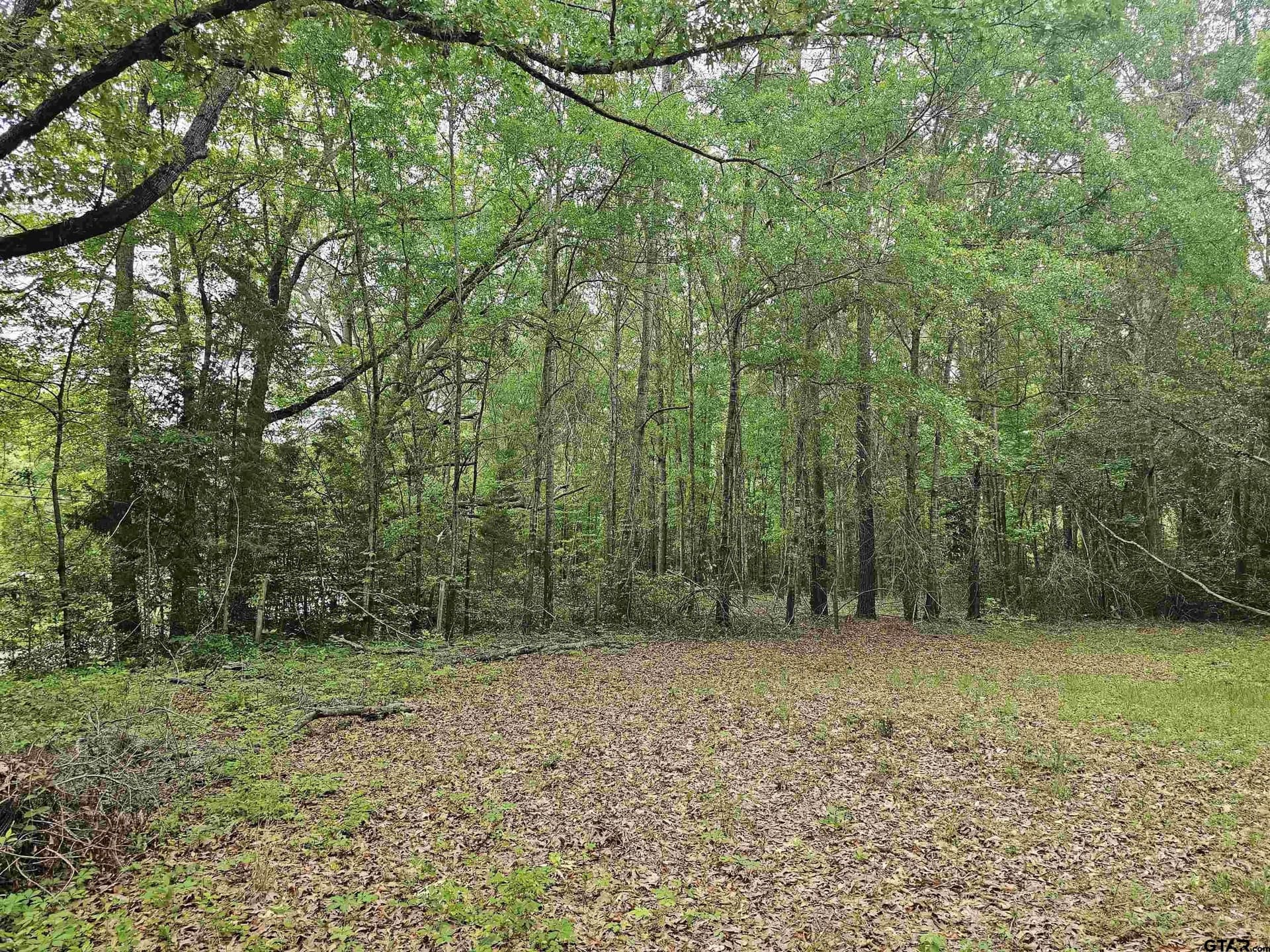 0.52 acres in Rusk County - photo 11