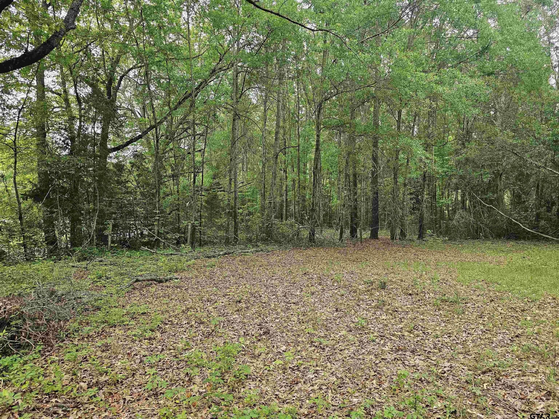 0.52 acres in Rusk County - photo 6