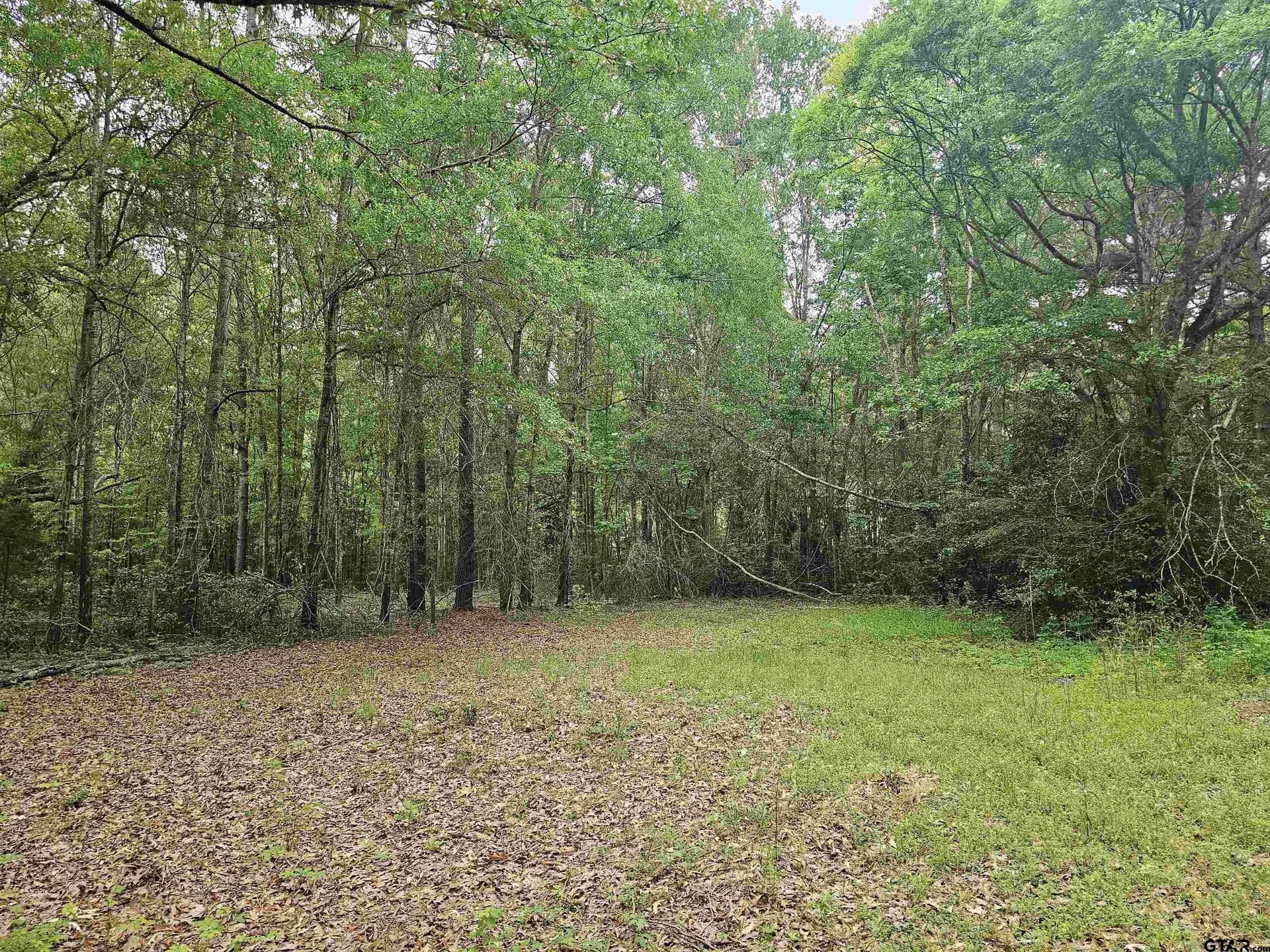 0.52 acres in Rusk County - photo 12