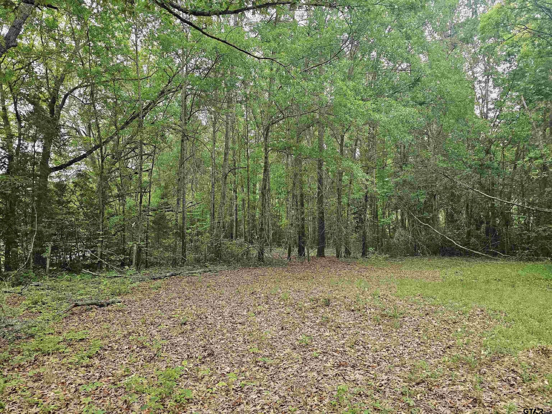 0.52 acres in Rusk County - photo 10