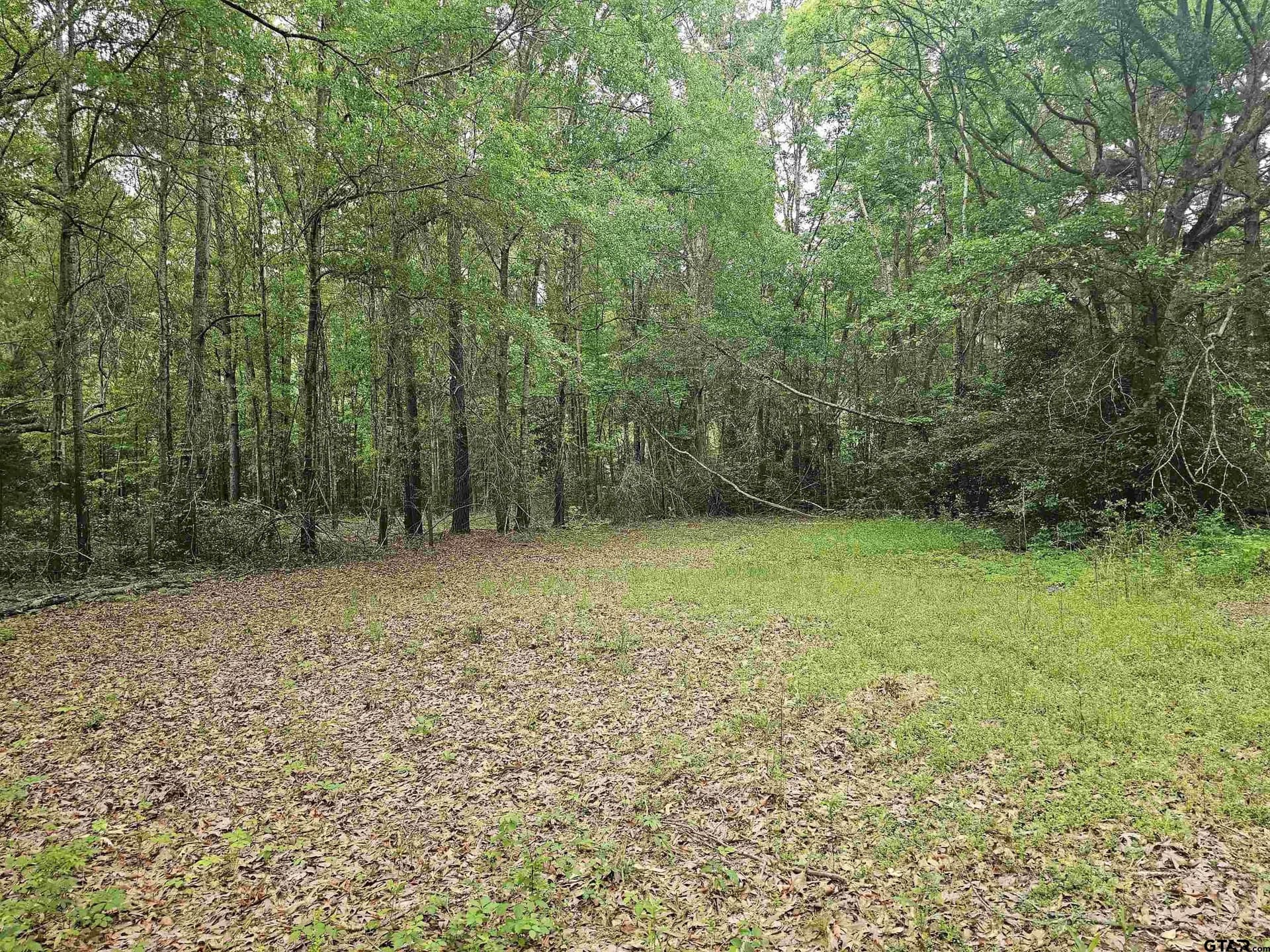 0.52 acres in Rusk County - photo 7