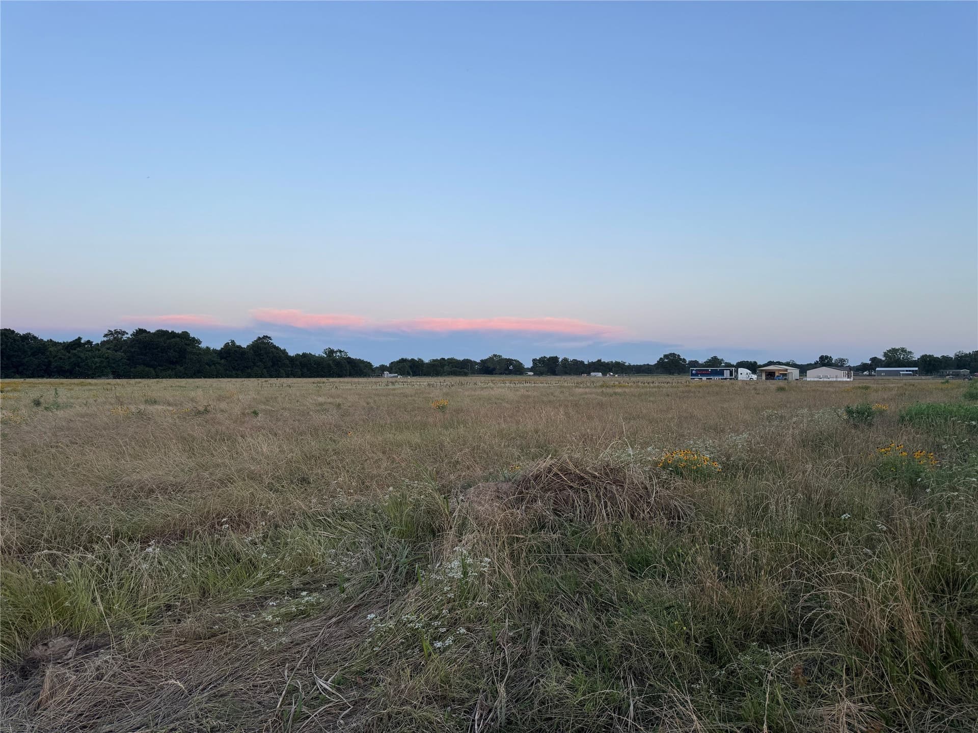 5.17 acres in Fannin County gallery image 3