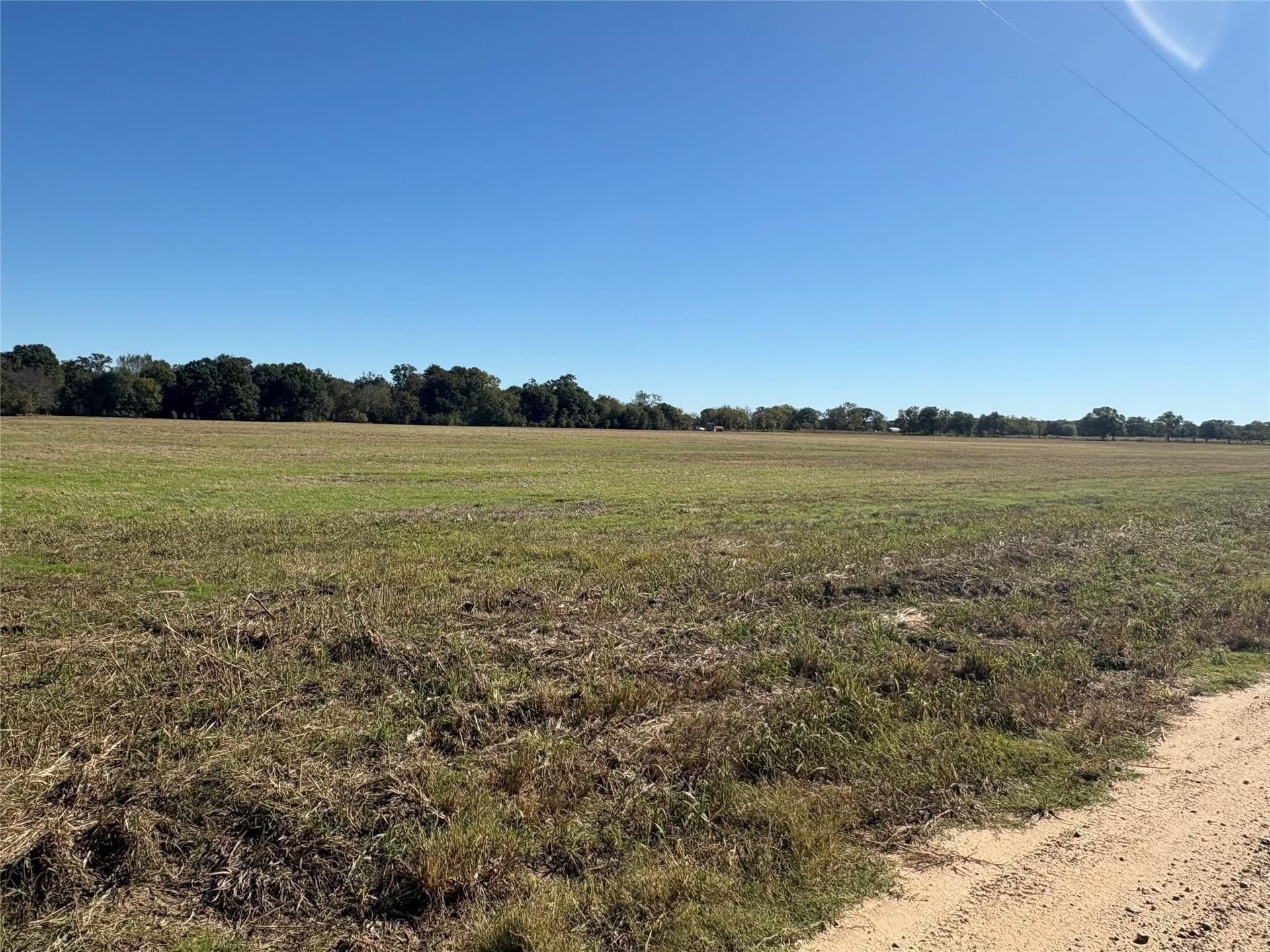 5.17 acres in Fannin County gallery image 4
