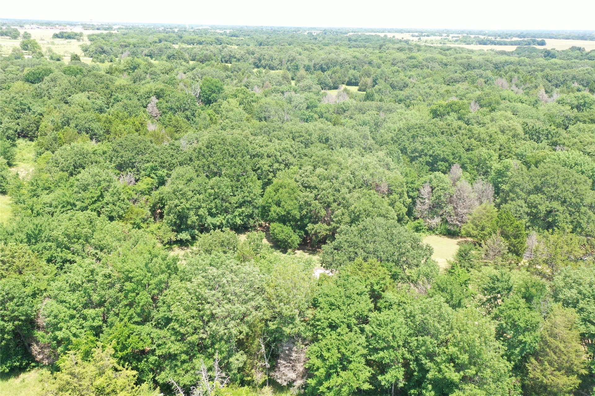1 acres in Henderson County - photo 18