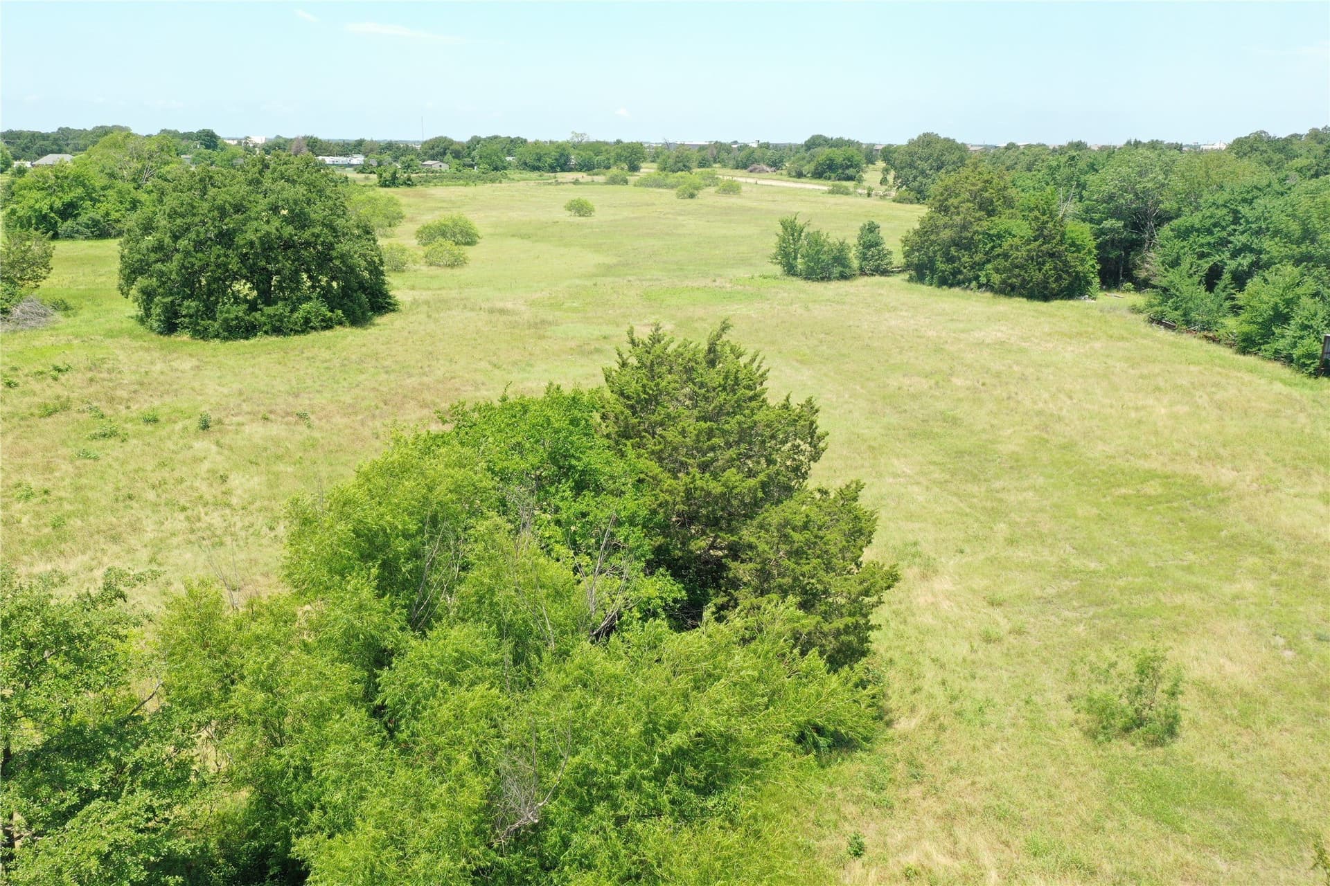 1 acres in Henderson County - photo 6
