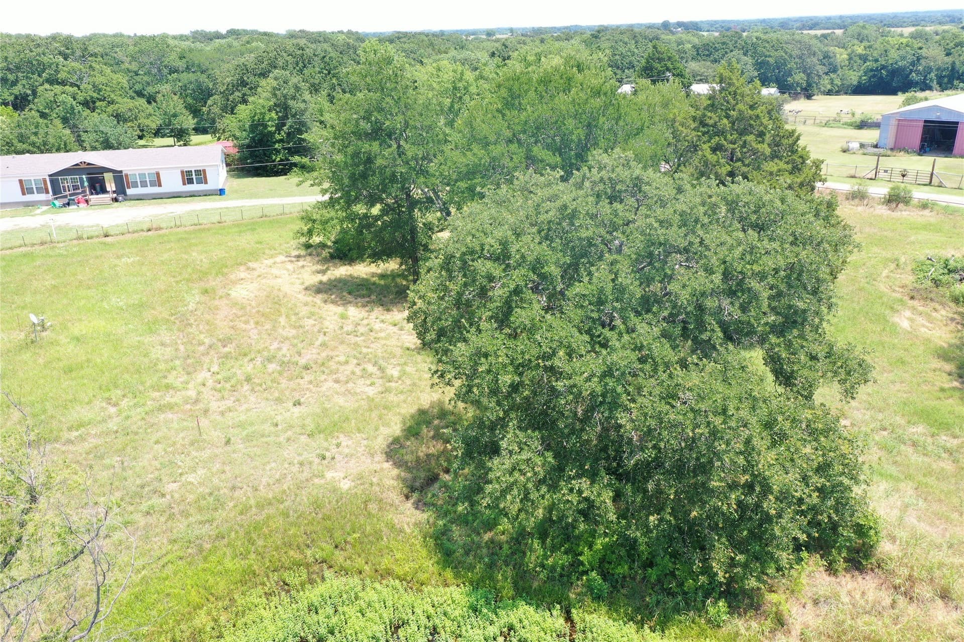 1 acres in Henderson County - photo 14