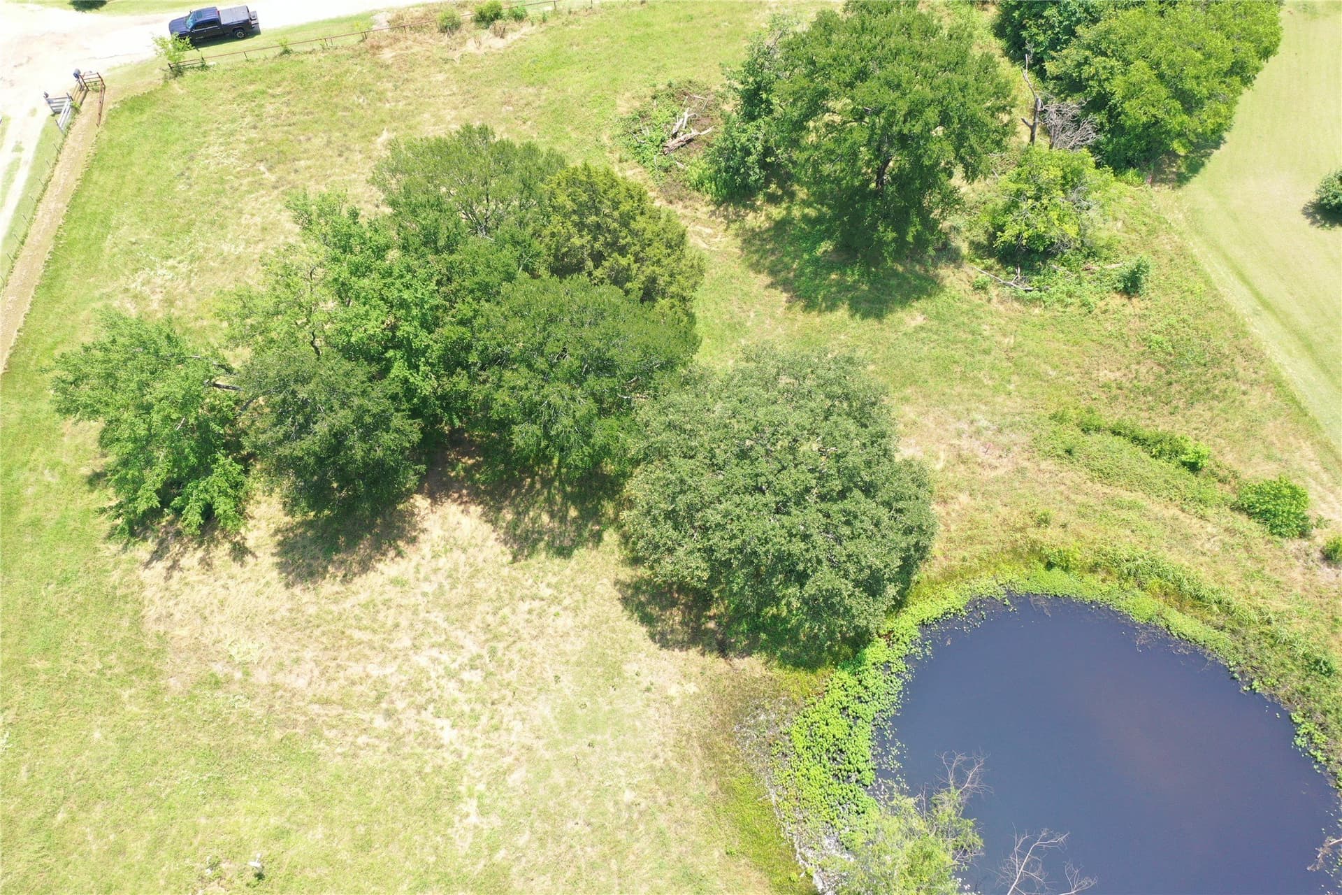 1 acres in Henderson County - photo 21