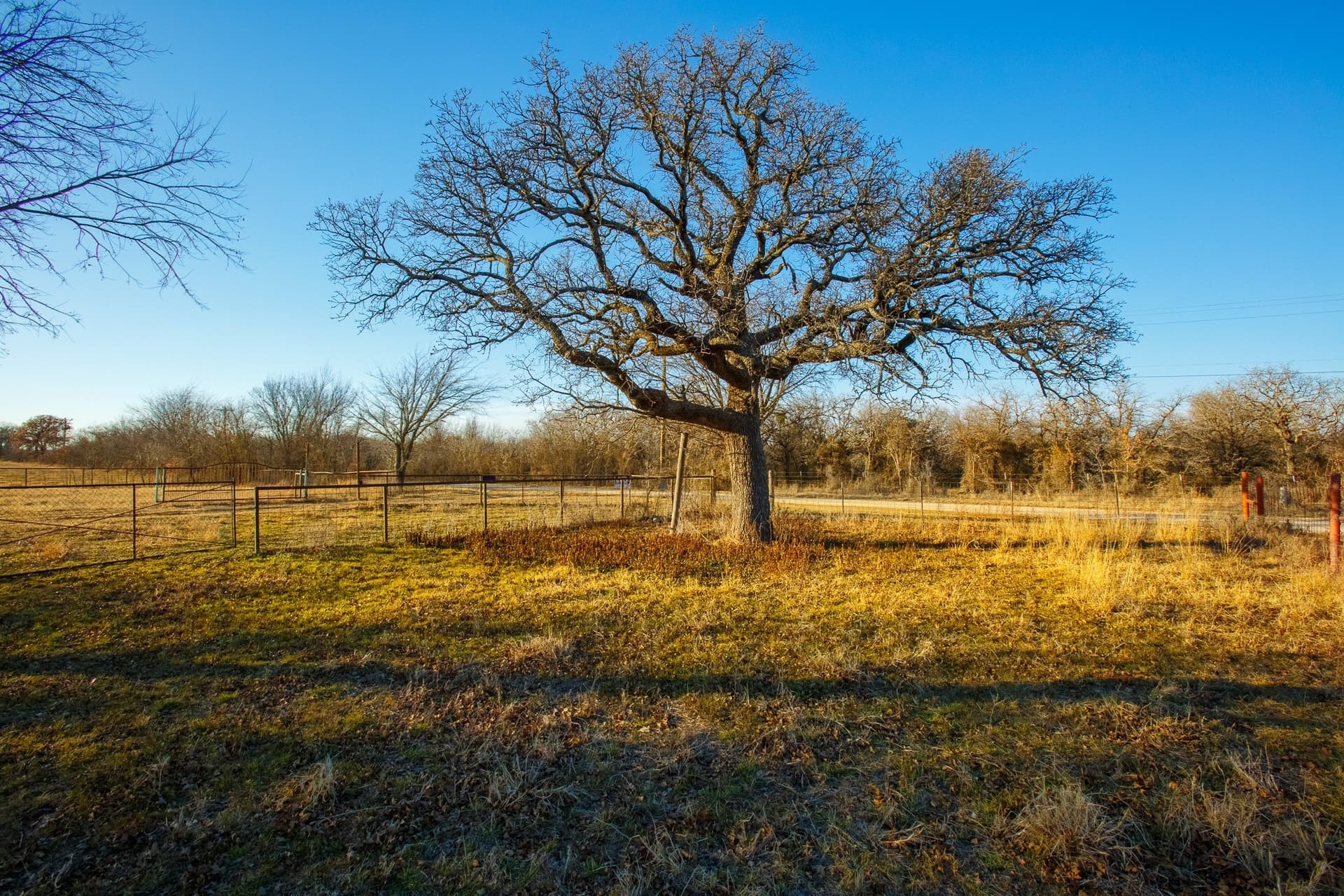 23.34 acres in Jack County featured view