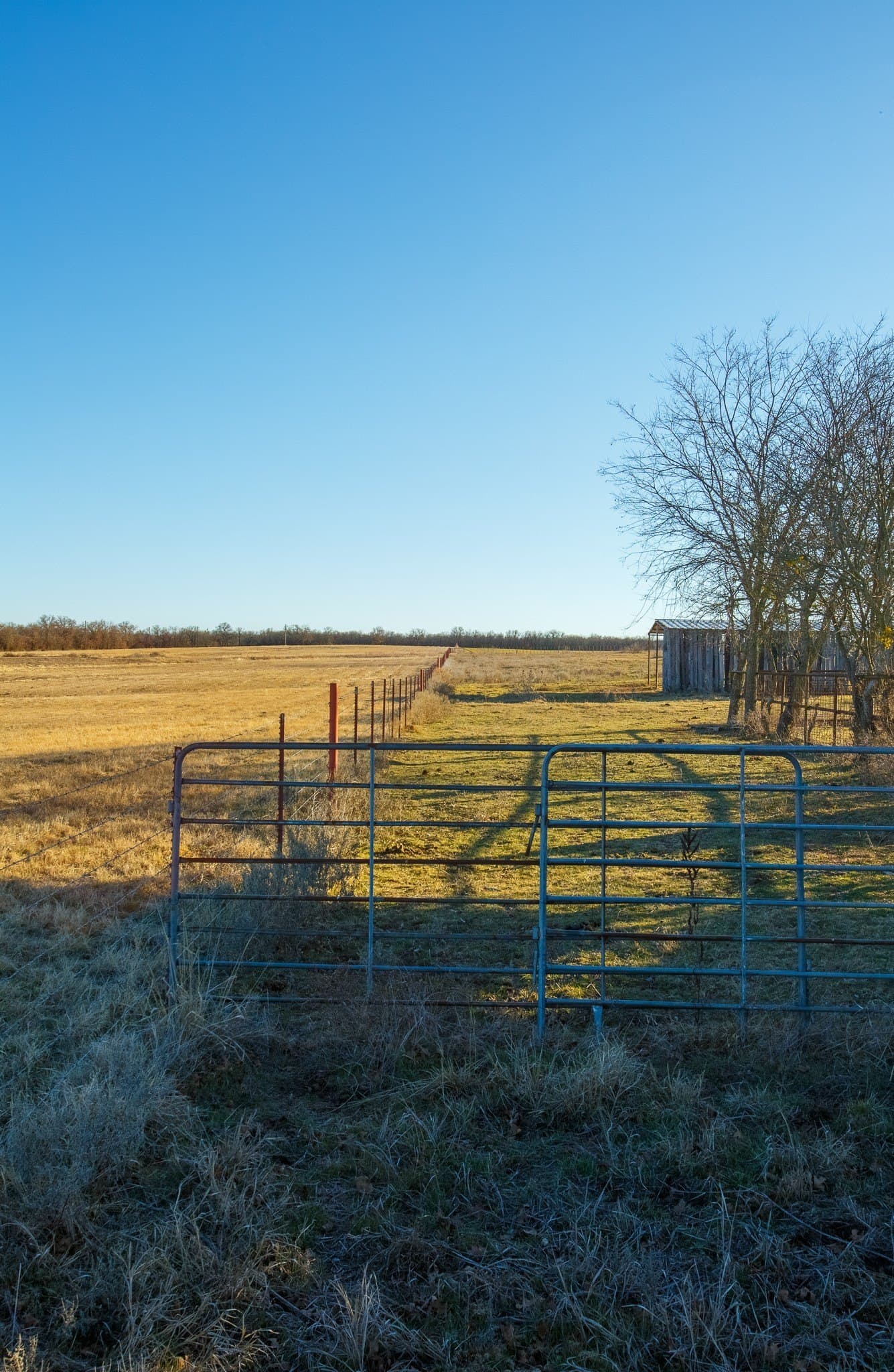 23.34 acres in Jack County gallery image 3