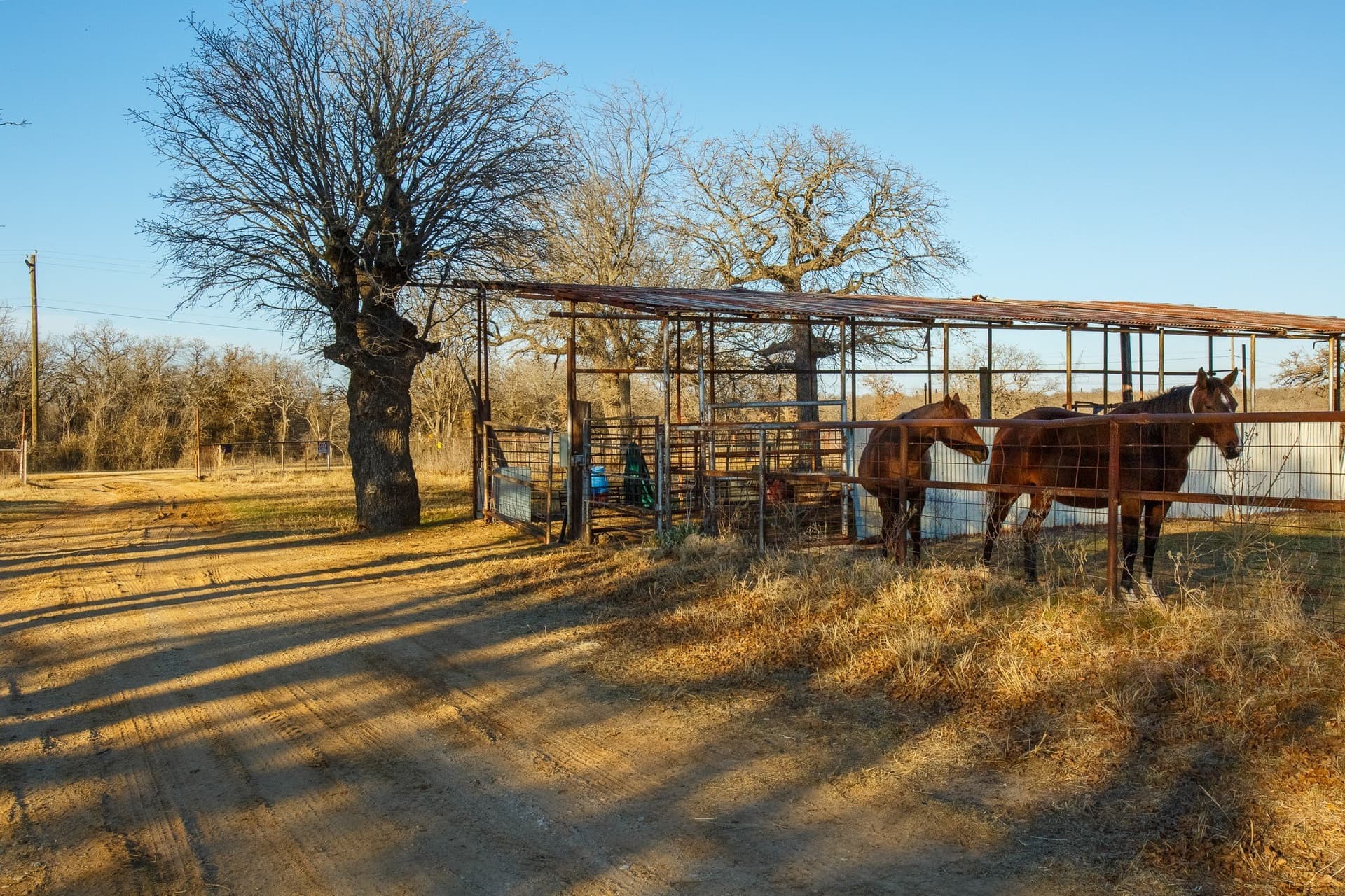 23.34 acres in Jack County gallery image 2