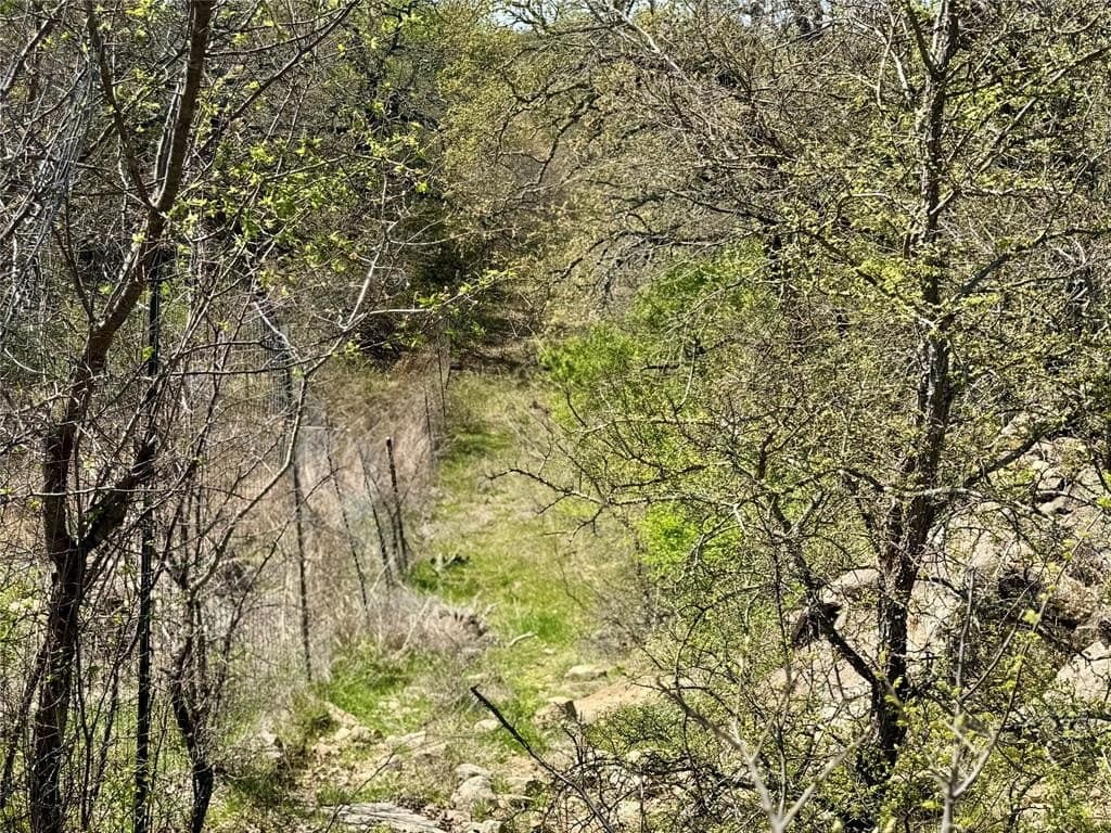 35 acres in Parker County gallery image 3