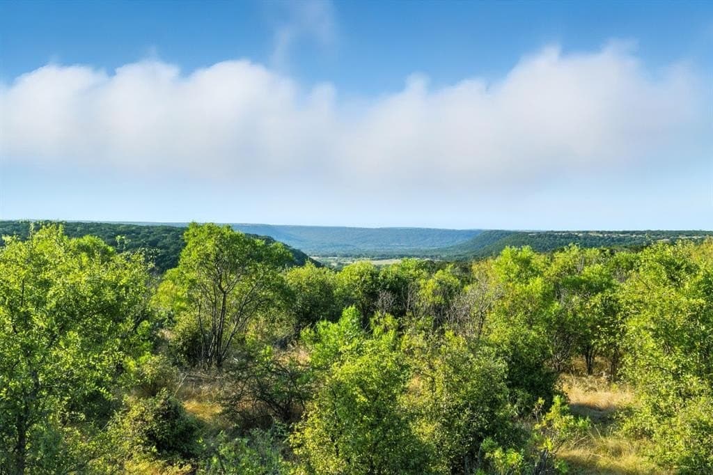 731.69 acres in Palo Pinto County gallery image 4