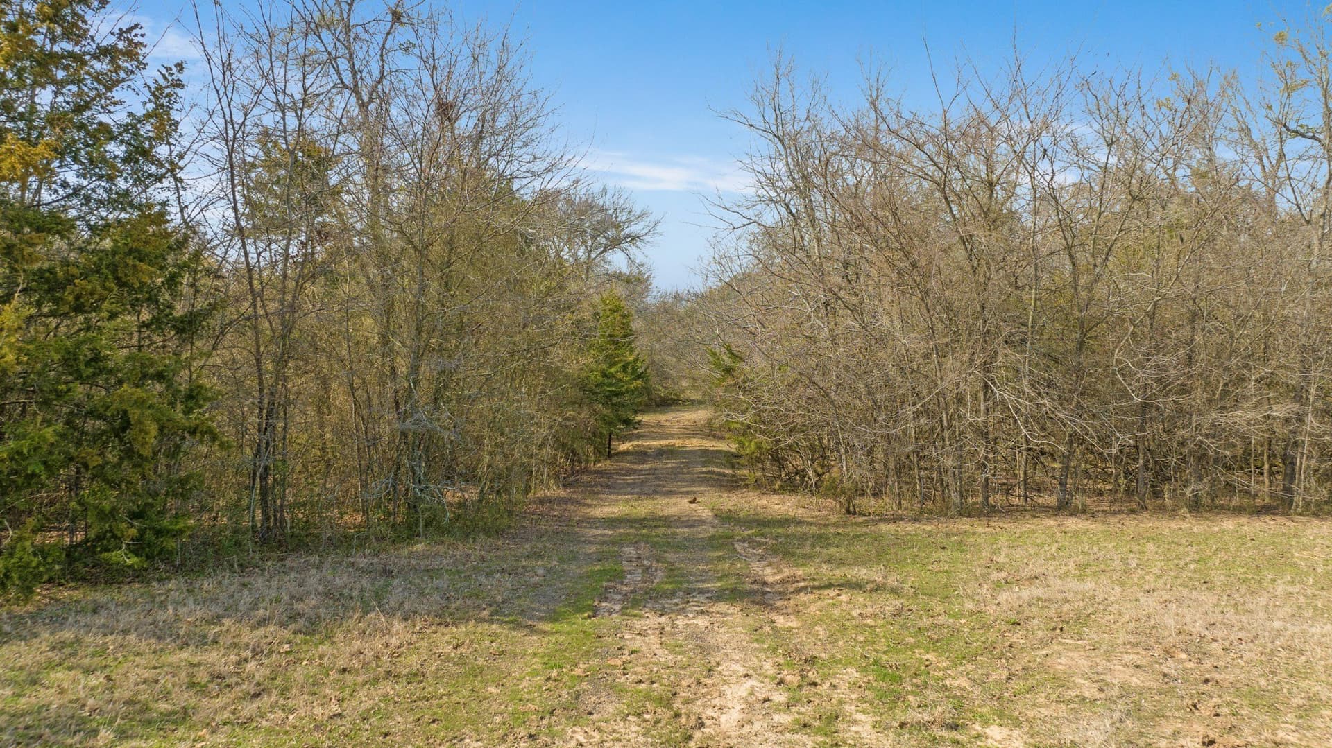 49.48 acres in Lamar County - photo 27
