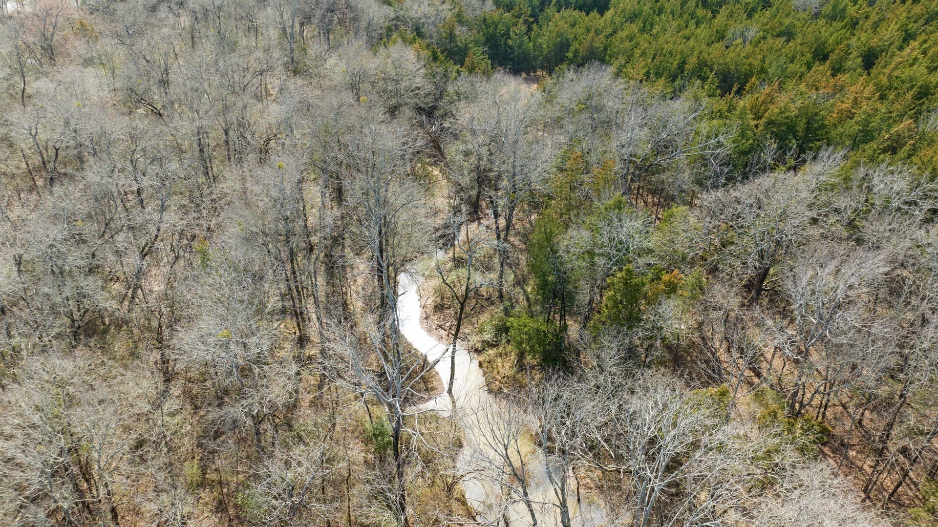 49.48 acres in Lamar County - photo 13